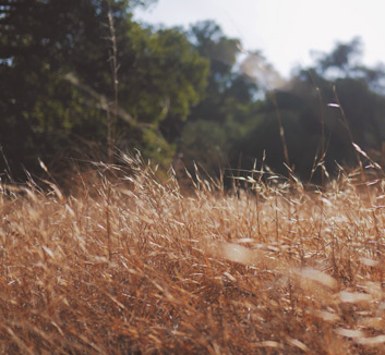 江苏科技大学体育中心球场上全力拼搏，荣誉属于胜者