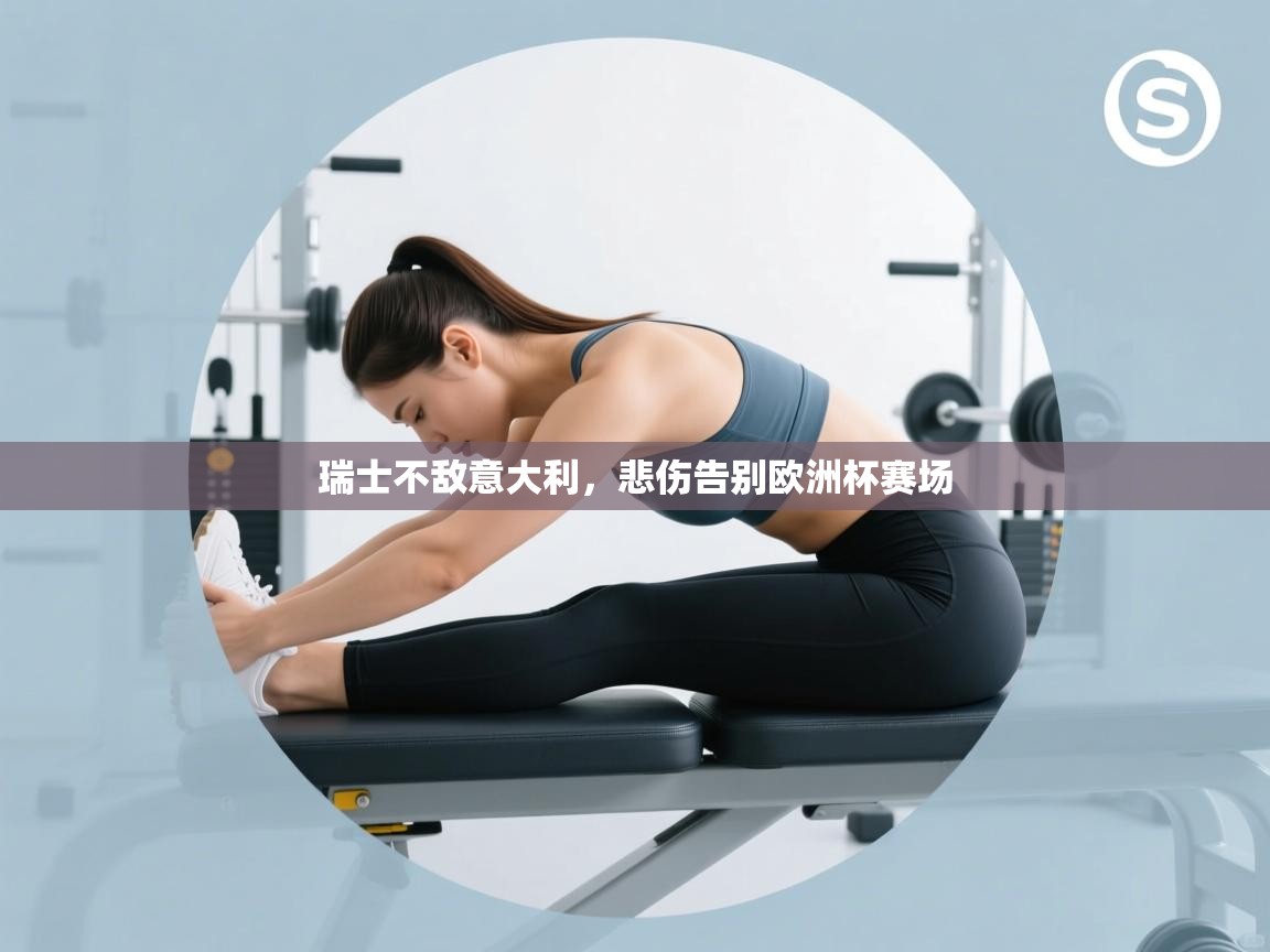 瑞士不敌意大利，悲伤告别欧洲杯赛场  第1张