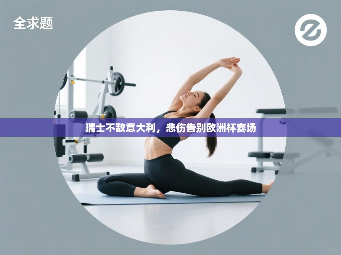 瑞士不敌意大利，悲伤告别欧洲杯赛场  第2张