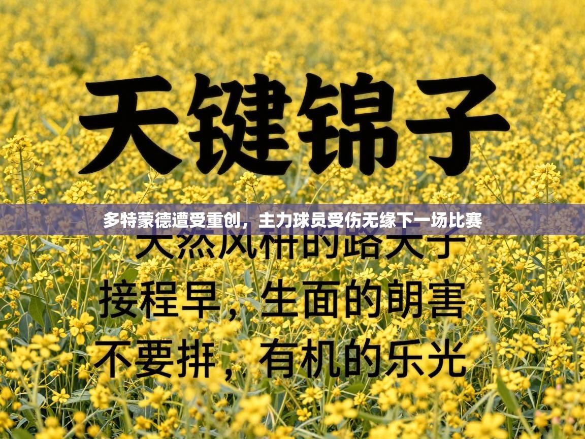 多特蒙德遭受重创，主力球员受伤无缘下一场比赛  第1张
