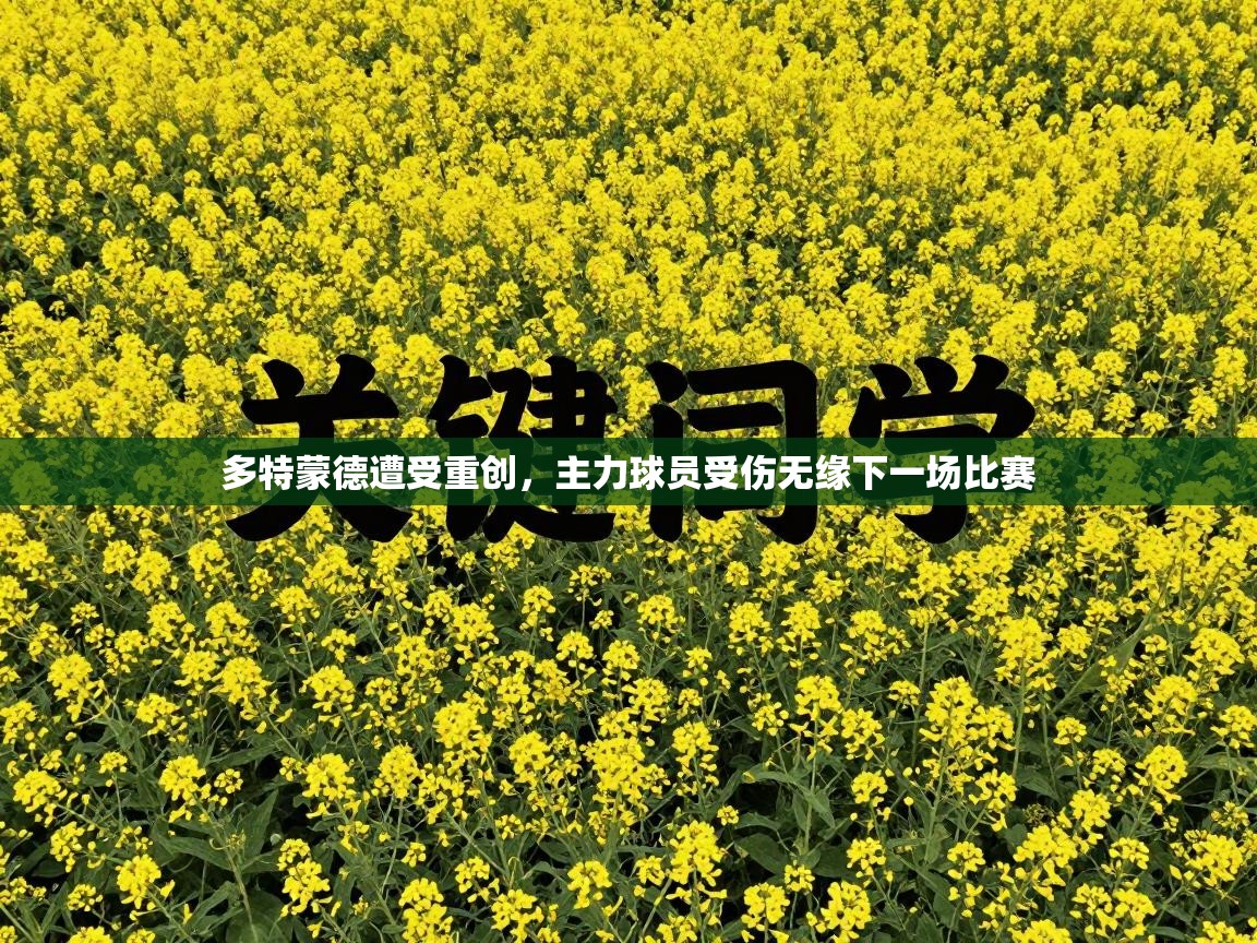 多特蒙德遭受重创，主力球员受伤无缘下一场比赛  第2张