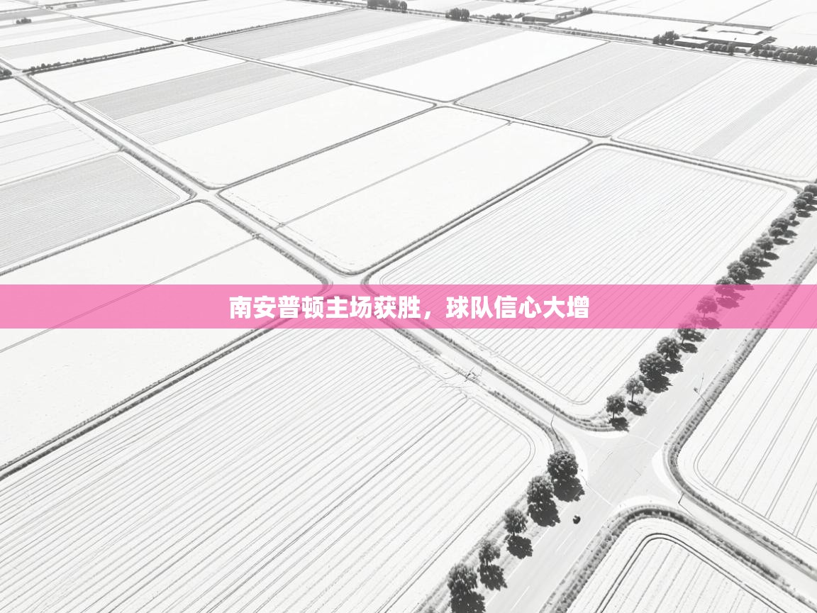 南安普顿主场获胜，球队信心大增  第2张