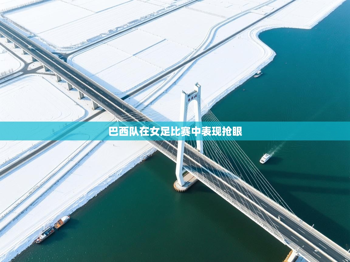 巴西队在女足比赛中表现抢眼 第2张